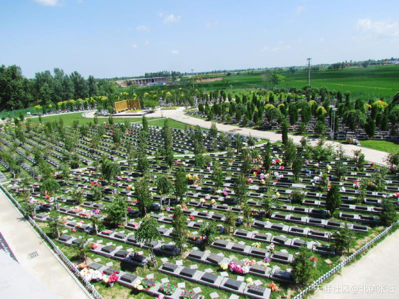 1594016130551218.jpg 315979586.jpg